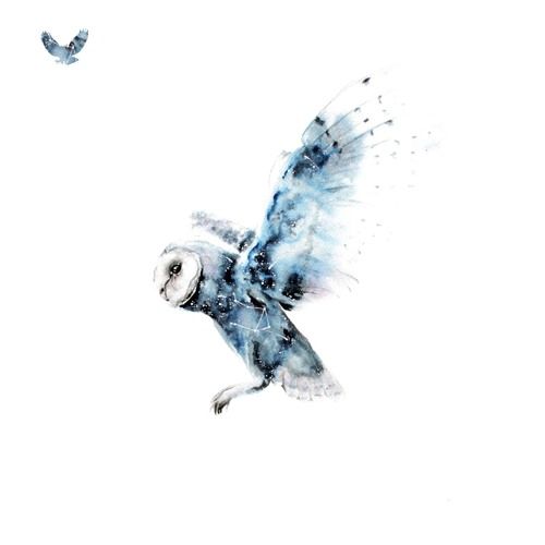 A picture of rabidZen